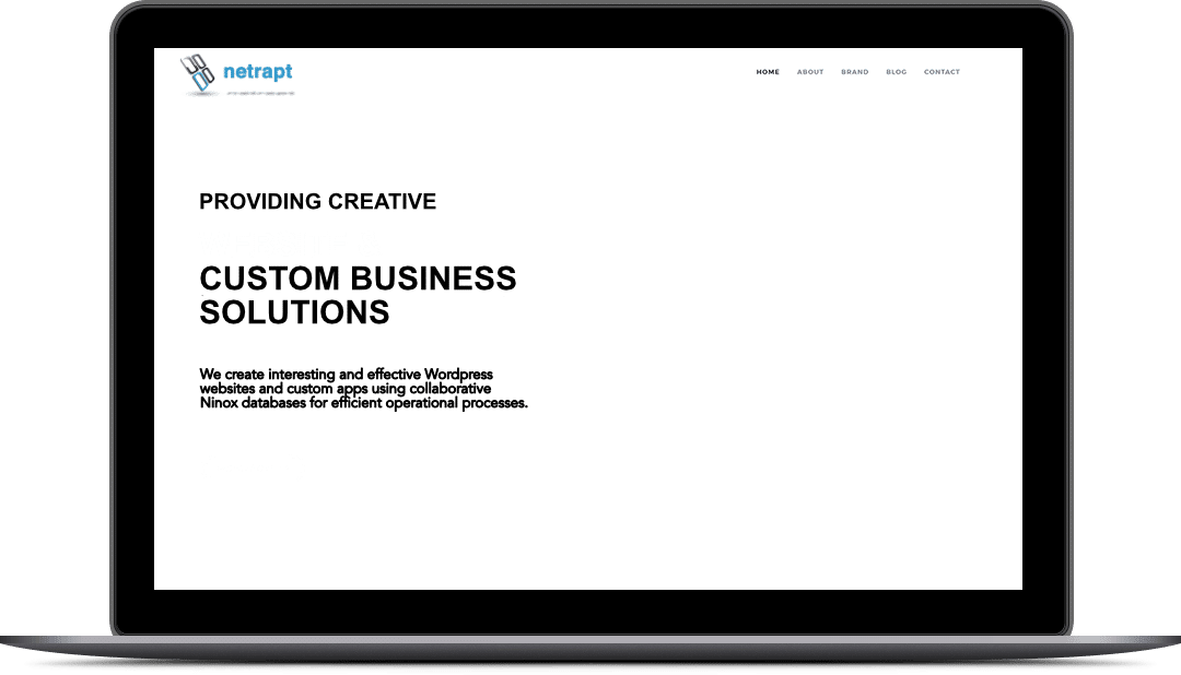 Netrapt Home Page Screen on Computer