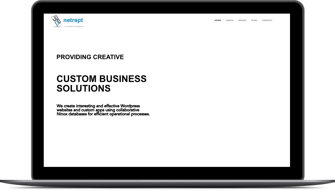 Netrapt Home Page Screen on Computer